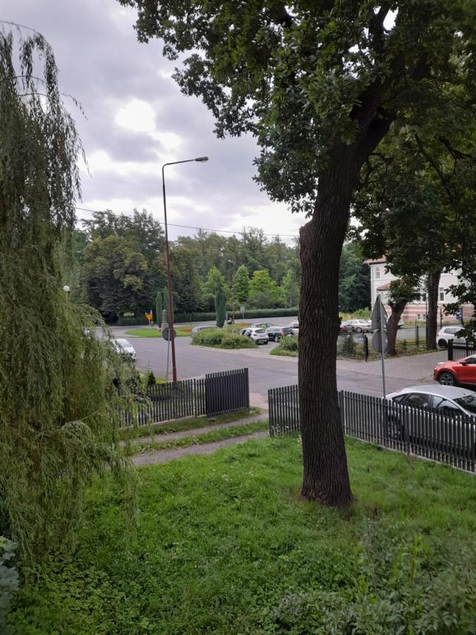 Mieszkanie Z Widokiem Na Park -Cieplice Slaskie Zdroj Leilighet Jelenia Góra Eksteriør bilde